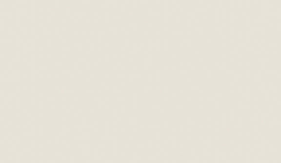 Liner- Wall or Rear Shelf Support